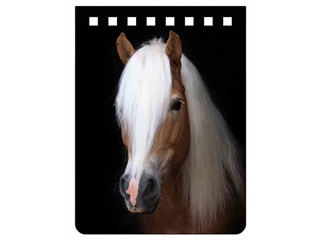 Haflinger Notebook A7