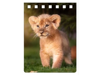 Lion Prince Notebook A7