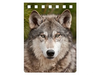 Wolf Notebook A7