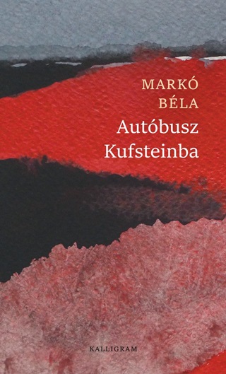 Autbusz Kufsteinba