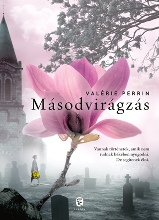 Msodvirgzs
