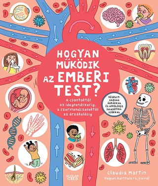 Hogyan Mkdik Az Emberi Test?