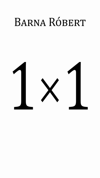 1  1